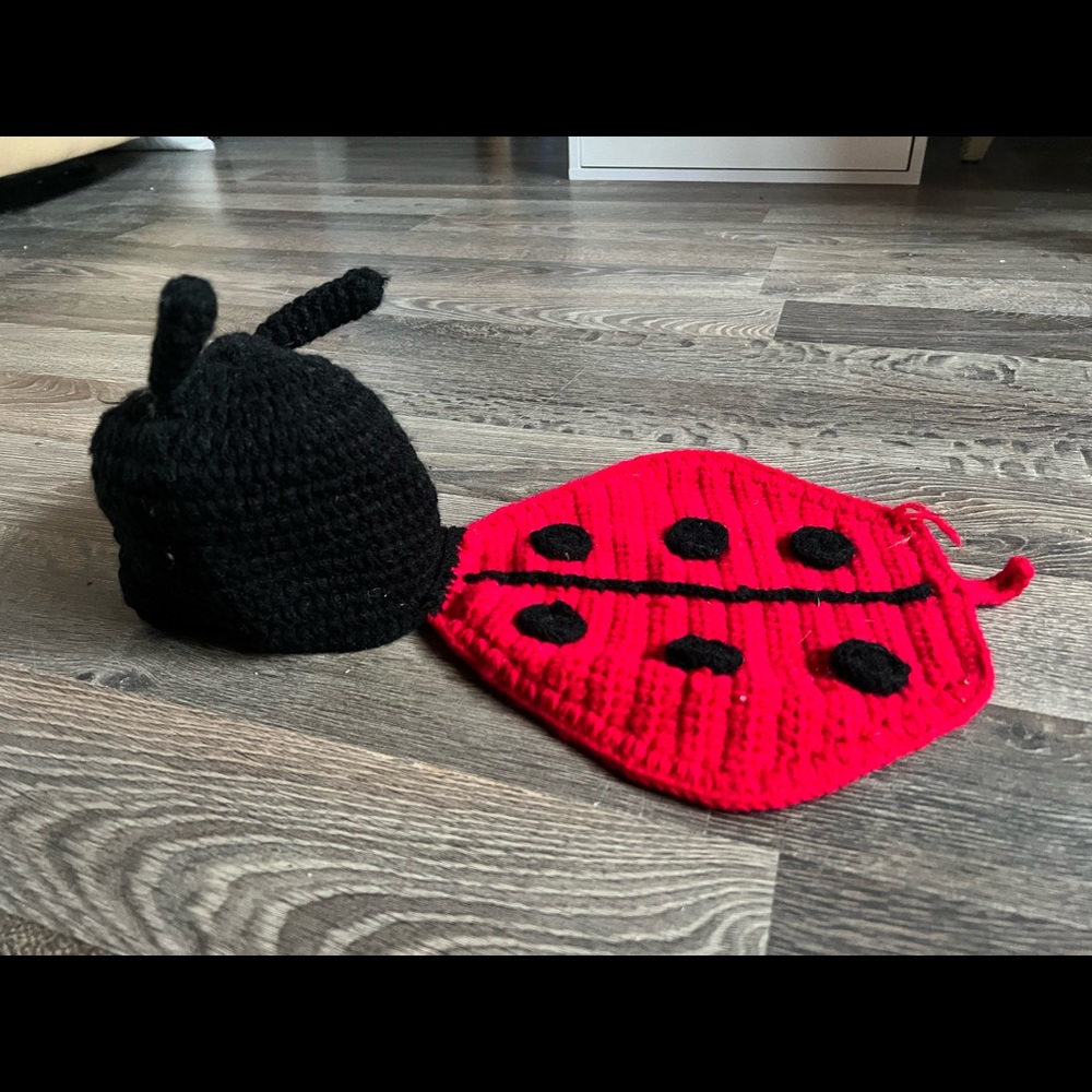 New Born Lady bug outfit. Photography prop